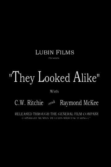 They Looked Alike Poster