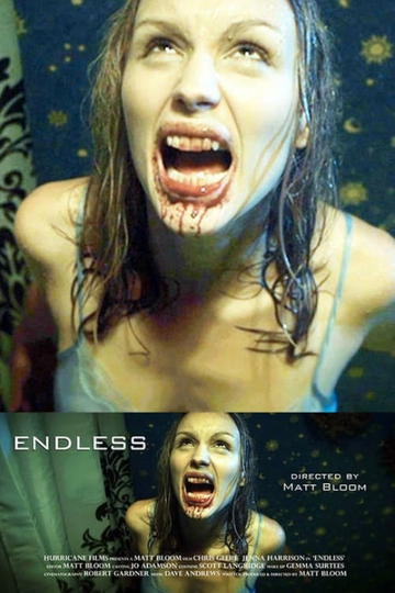 Endless Poster