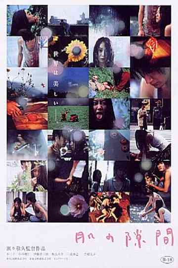 A Gap in the Skin Poster