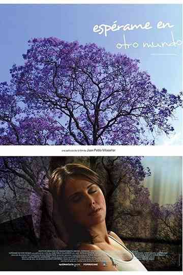 Wait for Me in Another World Poster