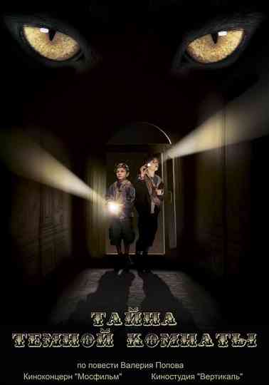 A Dark Room Mystery Poster