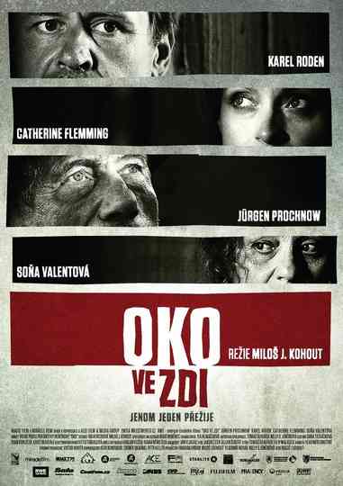 Oko ve zdi Poster