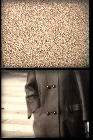 Walls, Coats, Shadows Poster