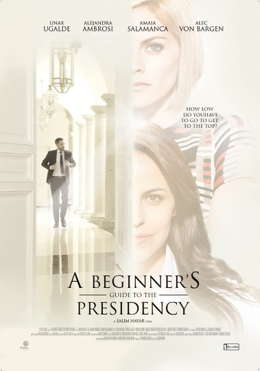 A Beginner's Guide to the Presidency Poster