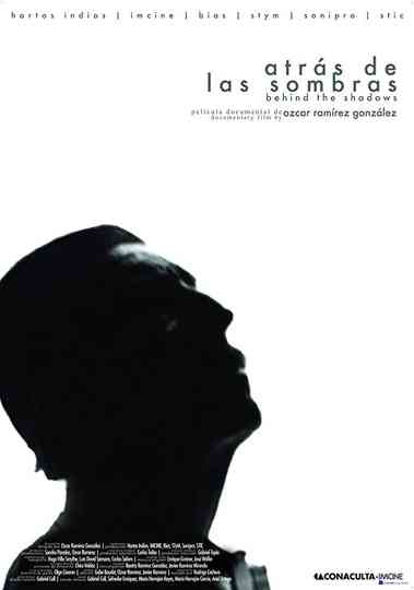 In the Shadows Poster