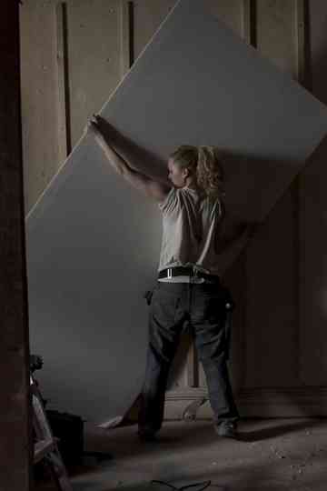 The Apartment Poster