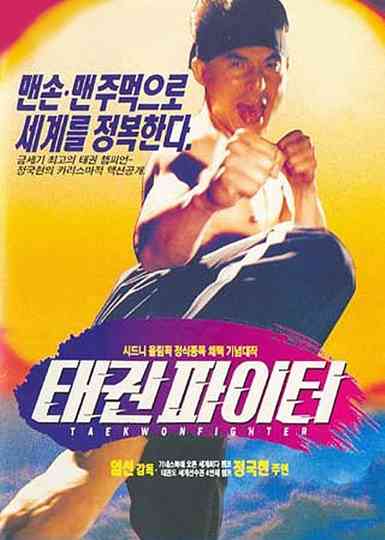 Taekwon Fighter Poster