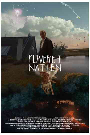 Planes in the Night Poster