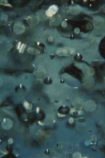 For a Young Filmmaker Poster