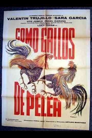 Como gallos de pelea Poster