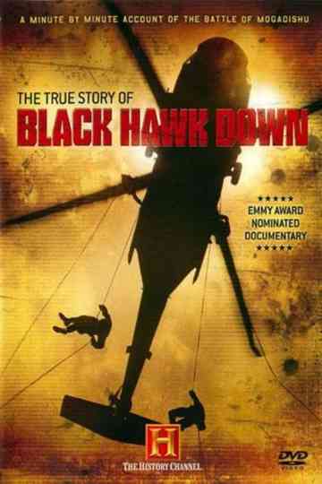 The True Story of Black Hawk Down Poster