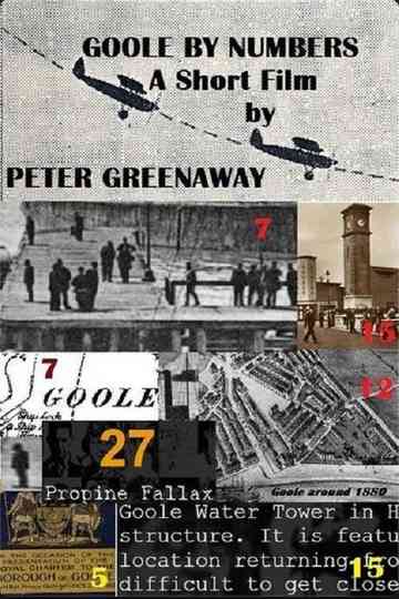 Goole by Numbers Poster