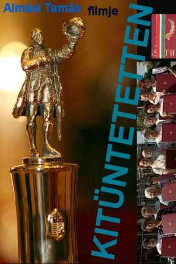 Being Decorated Poster