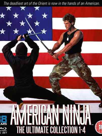 Ninja Gaijin: Remembering a Classic Cannon Franchise Poster