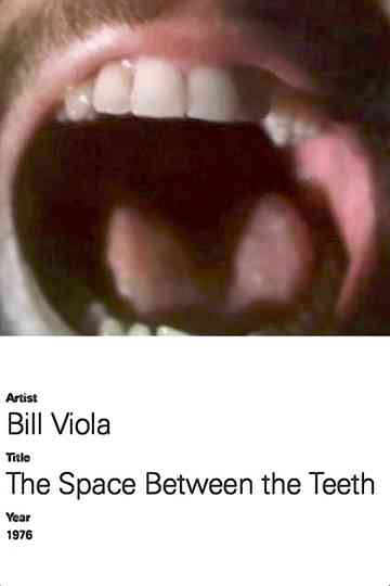 The Space Between the Teeth Poster