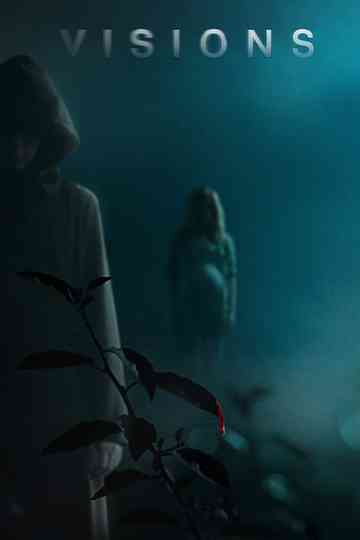 Visions poster