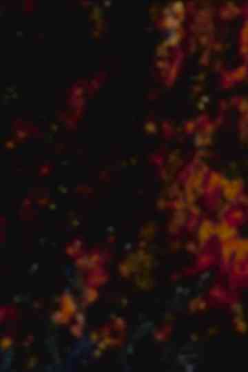 The Harrowing Poster