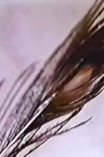 Sexual Meditation: Faun's Room, Yale Poster