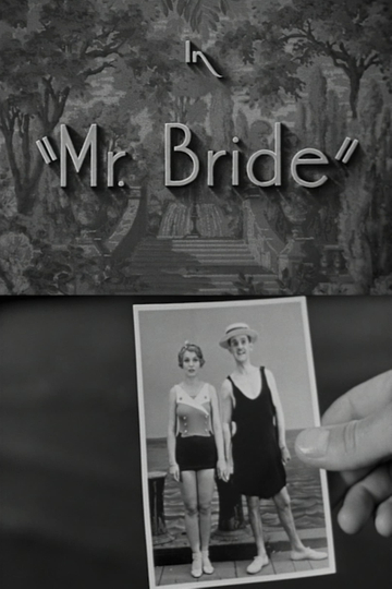 Mr Bride Poster