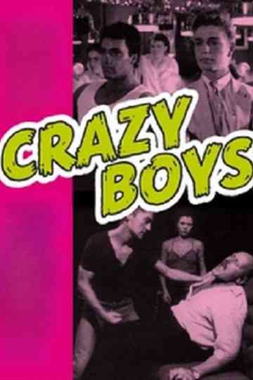 Crazy Boys - A Handful of Pleasure poster