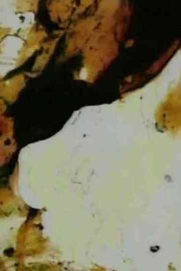 Persian Series 6 poster