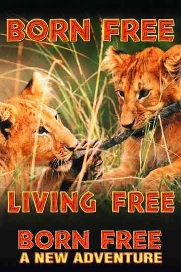 Born Free Collection Poster