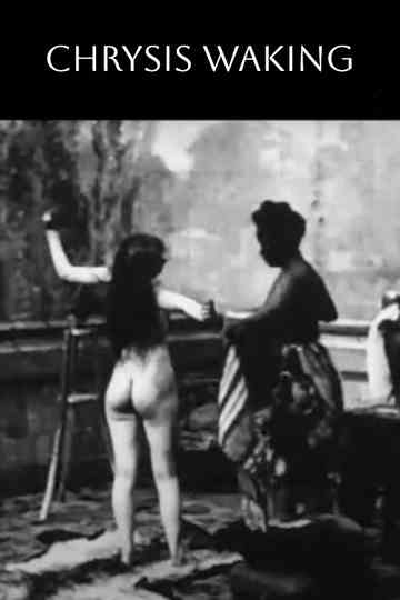 Chrysis Waking poster