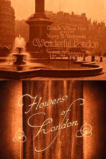 Wonderful London: Flowers of London Poster