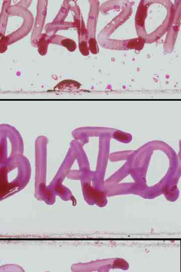 Blatzom Poster