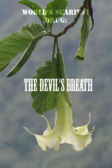 Worlds Scariest Drug The Devils Breath poster