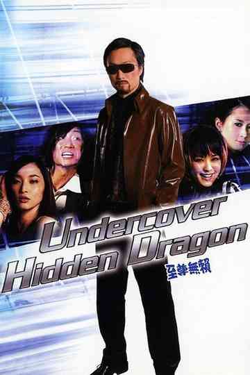Undercover Hidden Dragon Poster