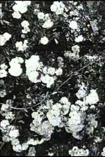 Jean Epstein or Cinema by Itself Poster