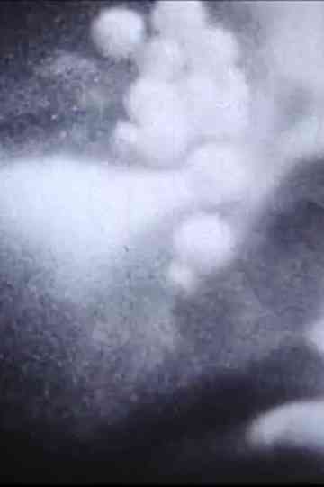 The Flamethrowers Poster