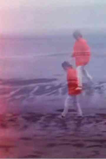 Not the First Time Poster