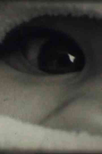 Le Corps Humain Poster