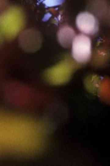 A Fall Trip Home Poster