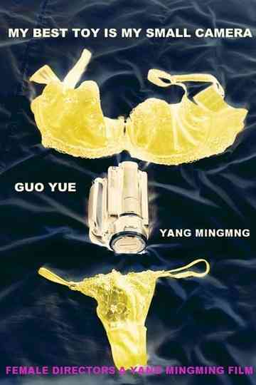 Female Directors Poster