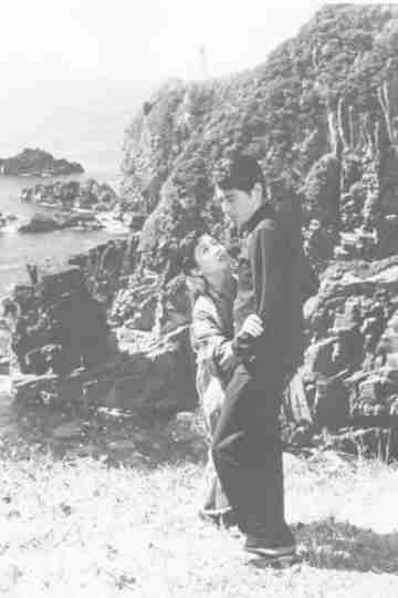 Cape Ashizuri Poster