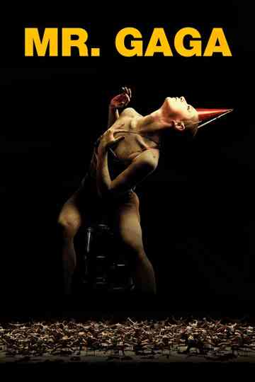Mr Gaga