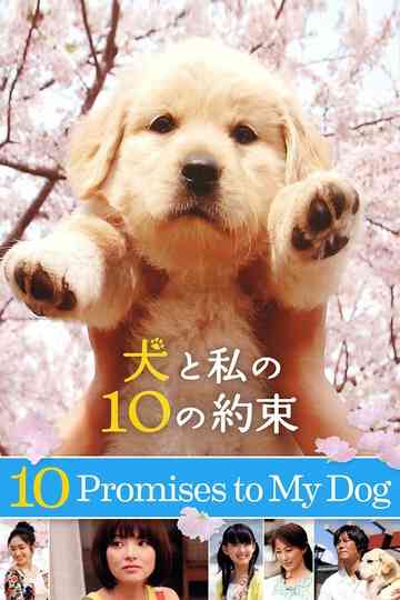 10 Promises to My Dog poster