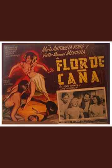 Flor de caña Poster