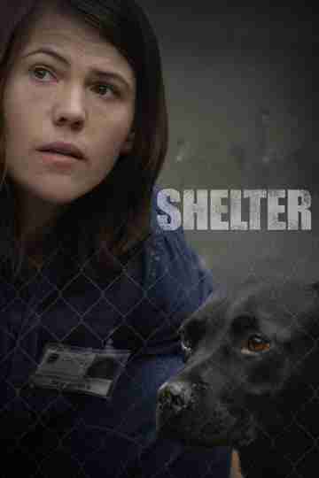 Shelter Poster