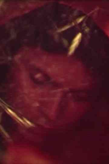 The Bengali Night Poster