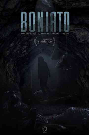 Boniato Poster