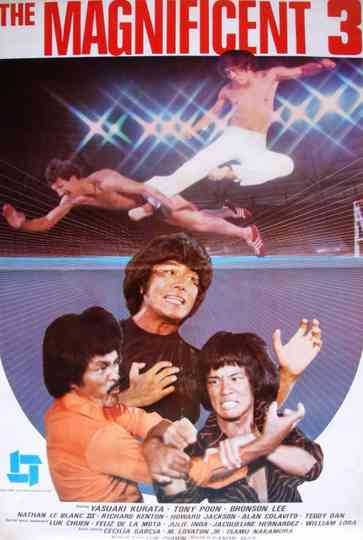 The Magnificent 3 Poster