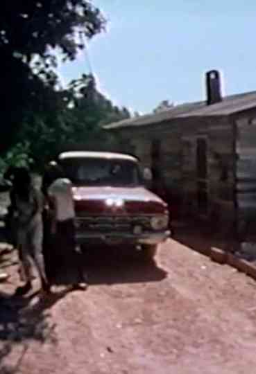 The Burks of Georgia Poster