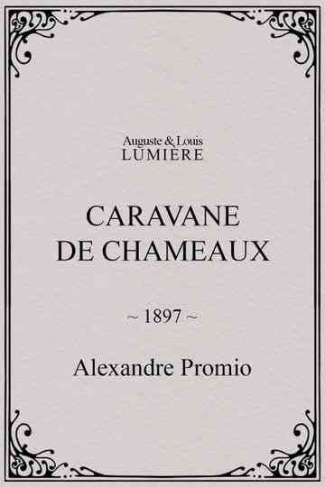 Caravane de chameaux Poster