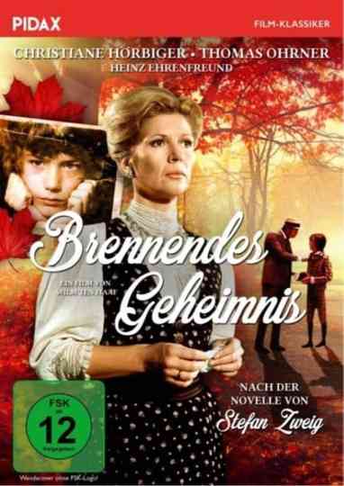 Brennendes Geheimnis Poster