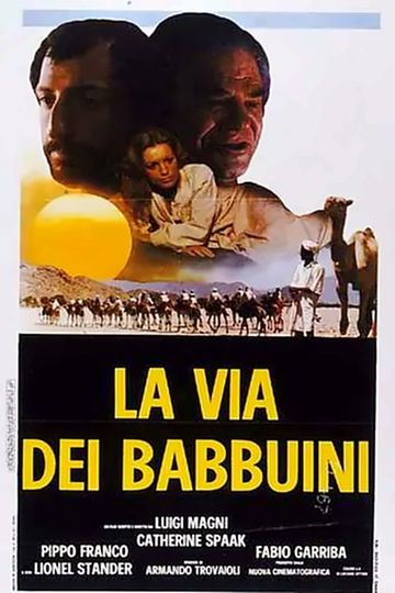 The Way of the Baboons