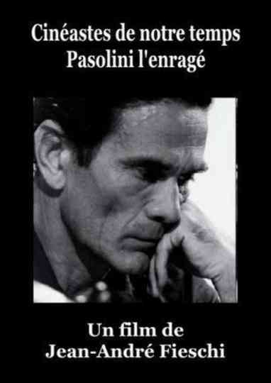 Pasolini lEnragé Poster